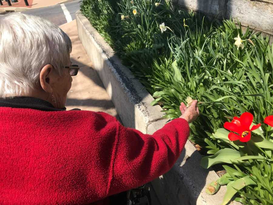 Woman with dementia sitting in wheel chair leaning over to touch flowers that are in bloom