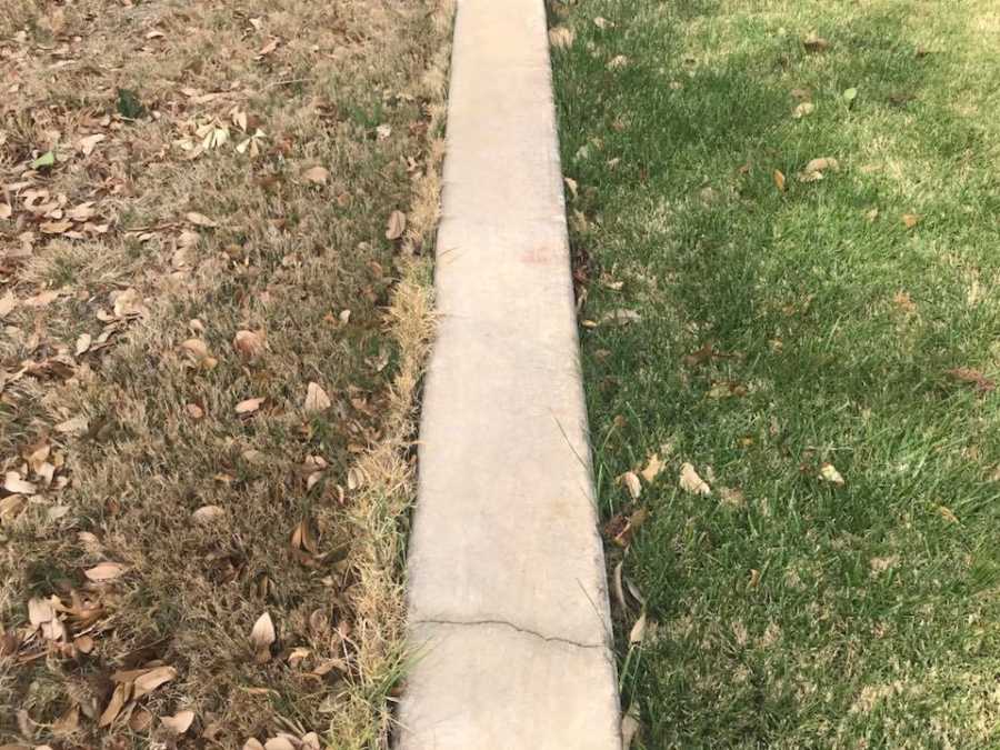 Cement ledge with brown grass on one side and green grass on other to represent "grass is always greener"