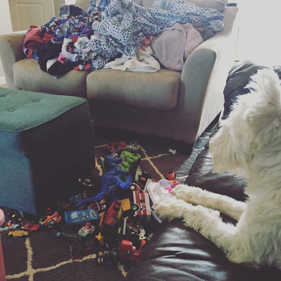 Dog sitting on couch above floor covered in toys next to couch with piles of blankets on it