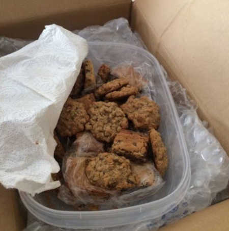 Tupperware filled with cookies elderly woman sent to someone because she texted the wrong number