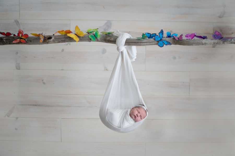 Newborn sitting in white blanket tied around branch with rainbow butterflies on it