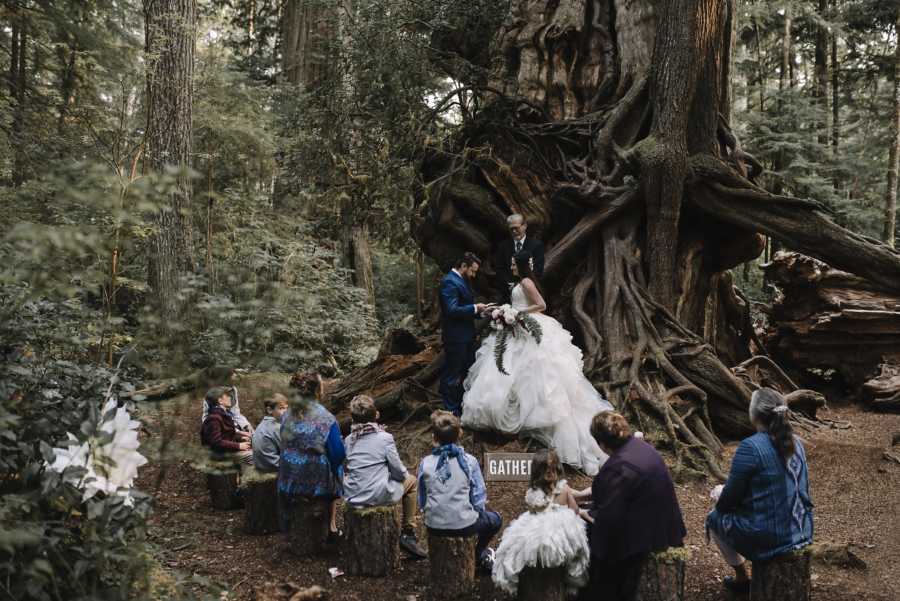 Bride and groom stand near large tree in forest with guests's of wedding sitting on tree stumps