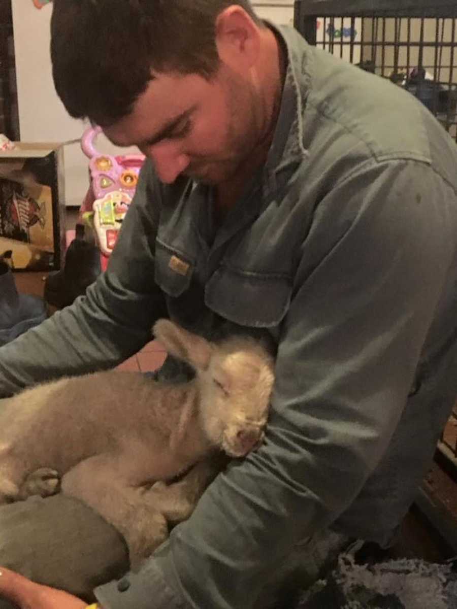 Man cuddles with a newborn lamb