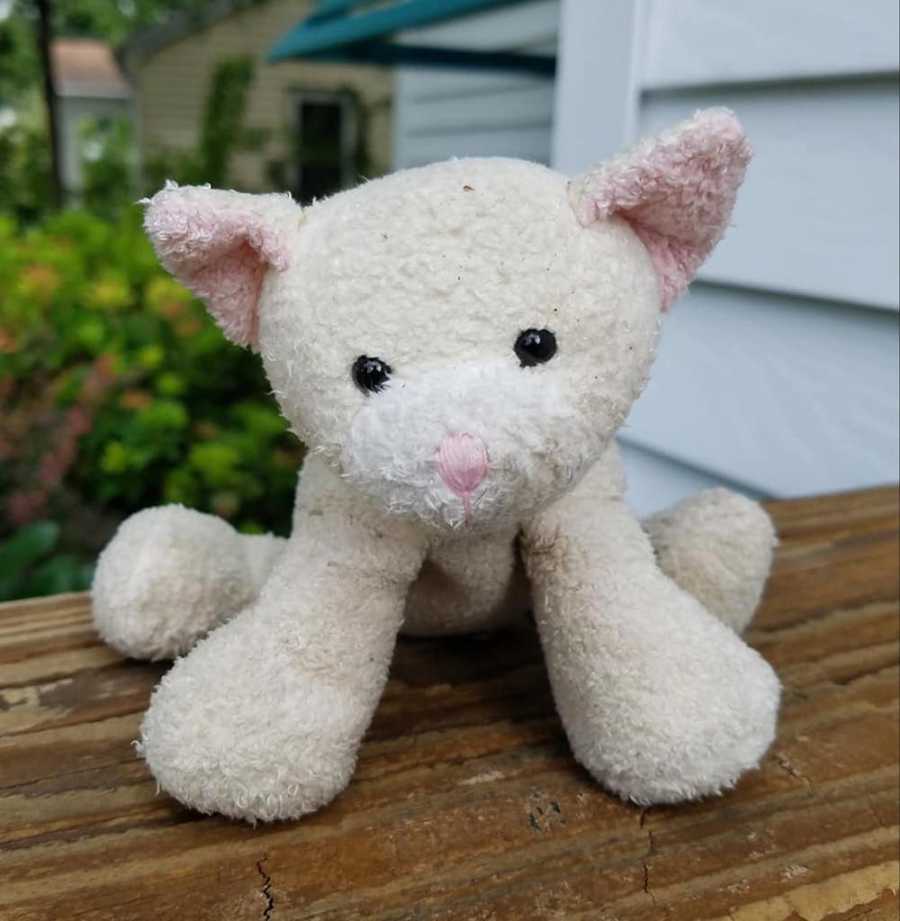 Man takes photo of a stuffed animal he found lost at the airport