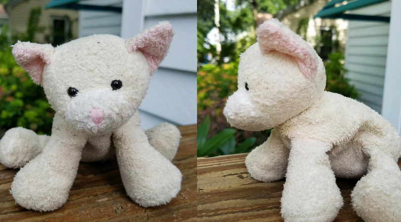 Man shares photos of stuffed toy cat he hopes to reunite with his family after finding him at an airport