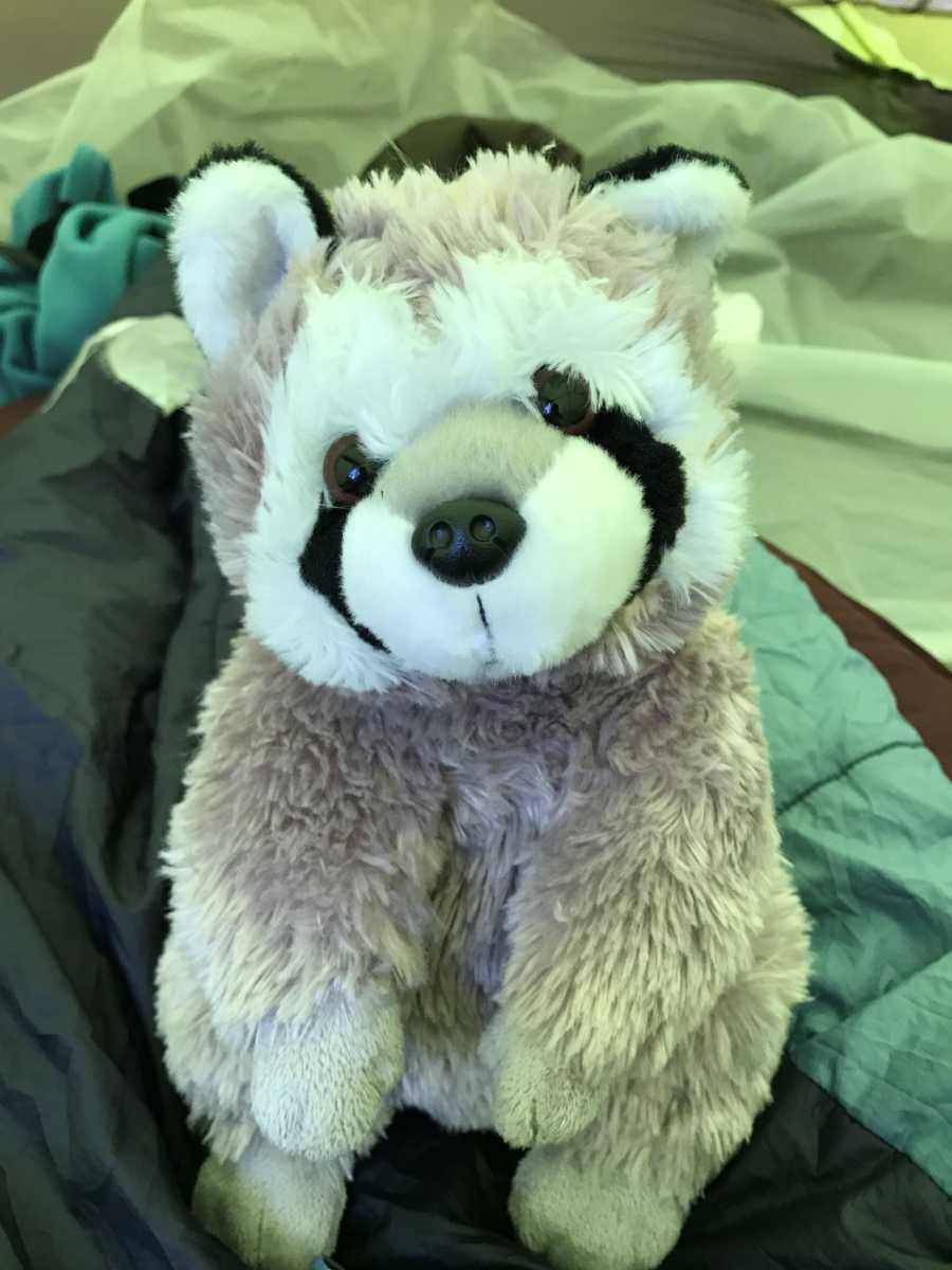 Woman takes a photo of a raccoon stuffed animal