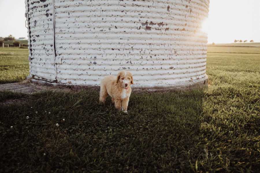 Puppy of young single woman standing by silo