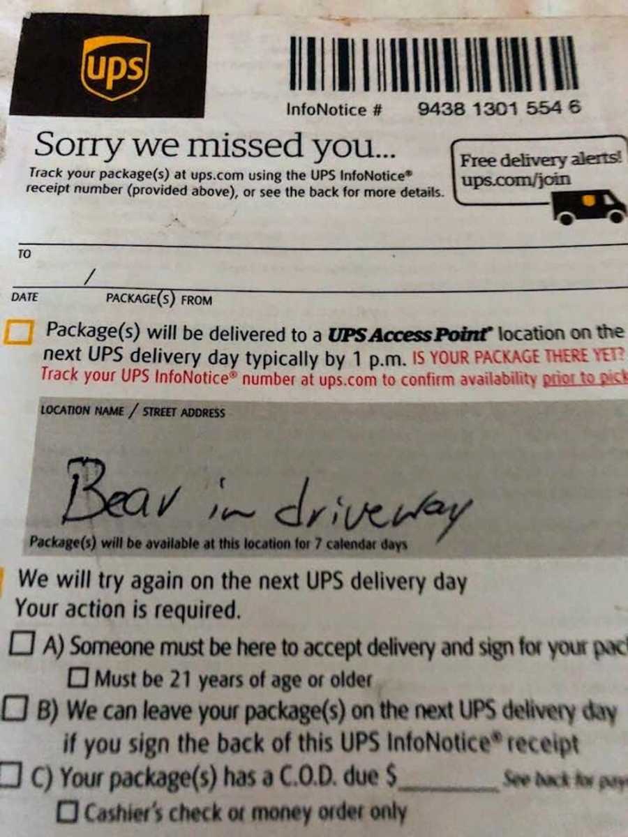 UPS note saying, "Sorry we missed you" with excuse saying, "Bear in driveway"