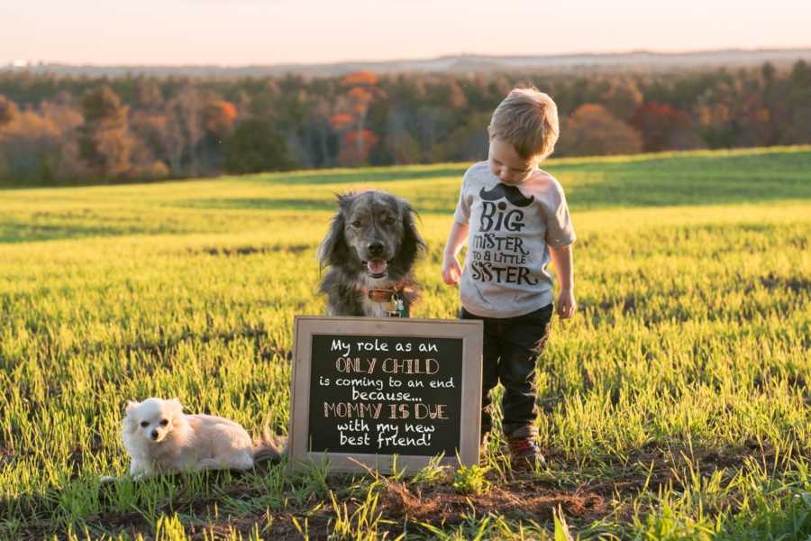 First born toddler stands in grass field with two dogs and sign announcing sibling's birth