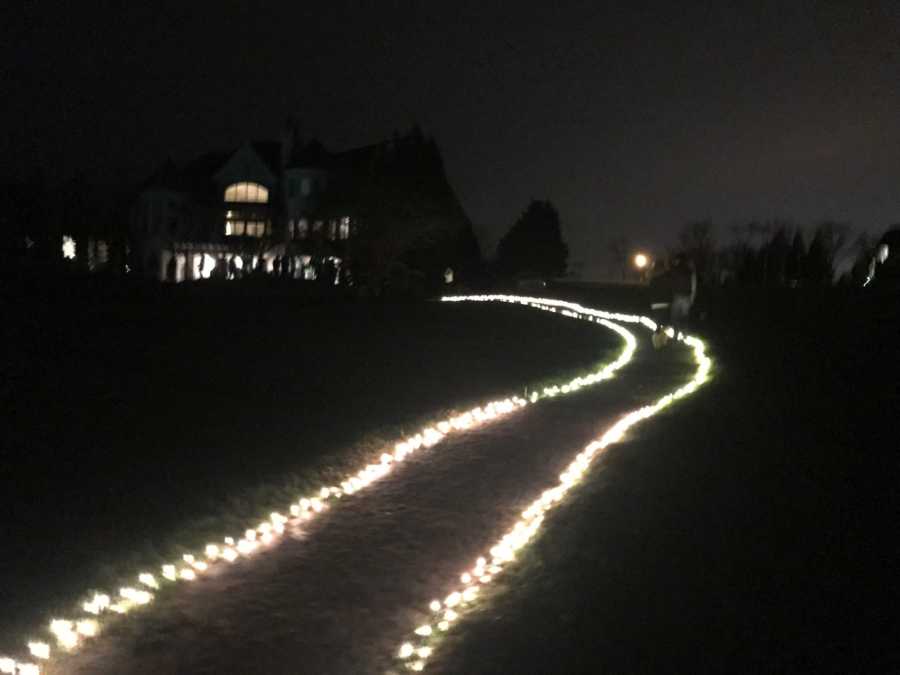 Trail outlined one ground with twinkly lights that lead to a house