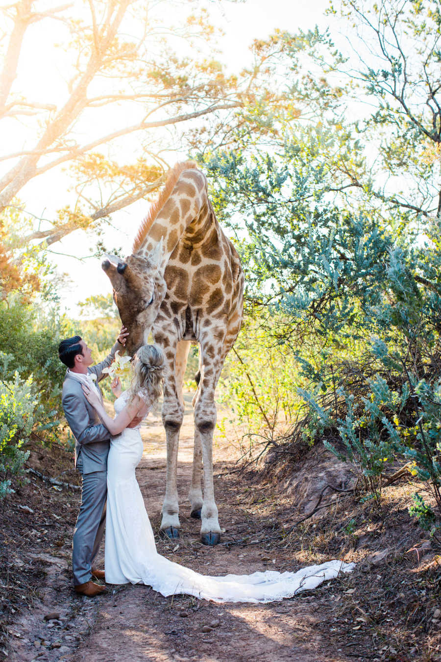 Bride and groom pet giraffe who interrupted their wedding on South African reserve