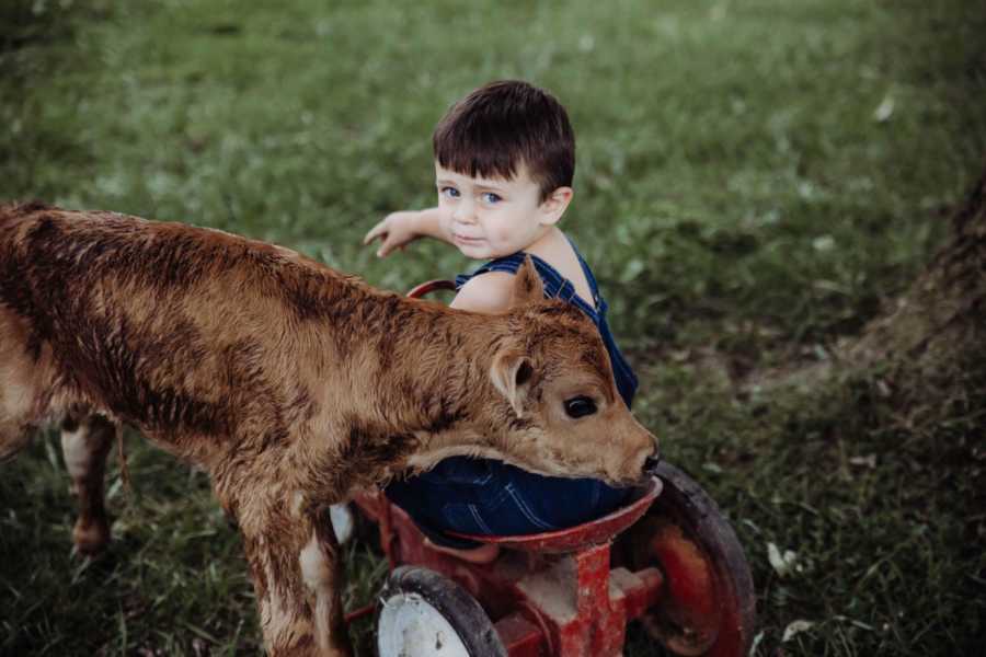 Little boy sitting on toy tractor turns around to look at camera with calf beside him