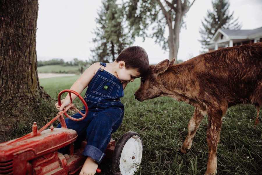 Little boy wearing overalls sits on toy red tractor with his head touching calf's head