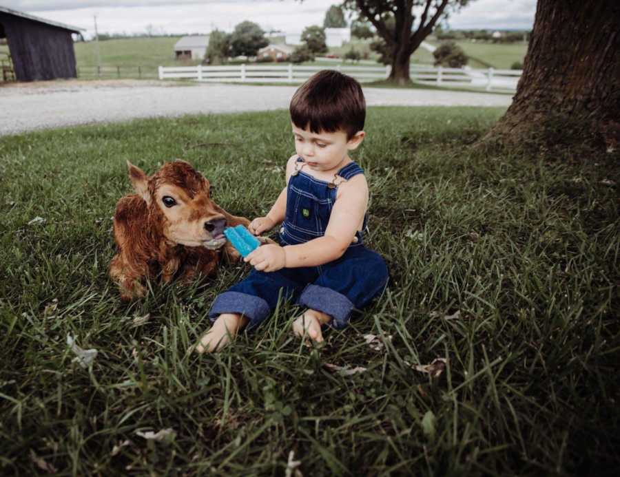 Little boy sits in grass holding a blue popsicle beside baby calf