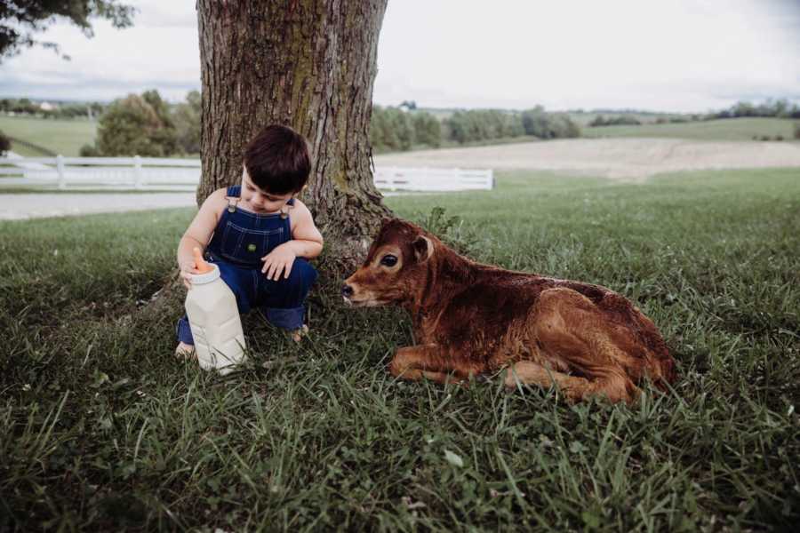 Little boy sits on trunk of tree looking at large bottle of milk beside baby calf