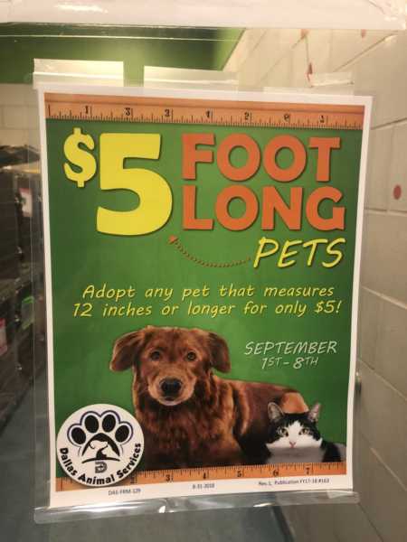 Poster on glass that says, "$5 foot long pets" with a dog and cat on it