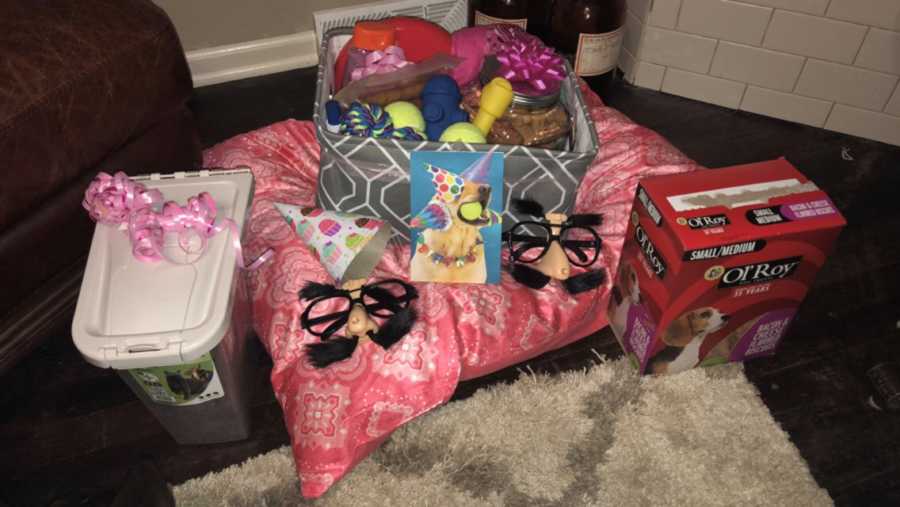 Dog bed on floor covered in toys beside dog food for 80th man's birthday 