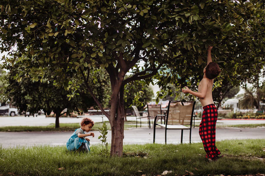 Young boy reaches up to citrus tree to grab fruit while little sister sits by tree trunk