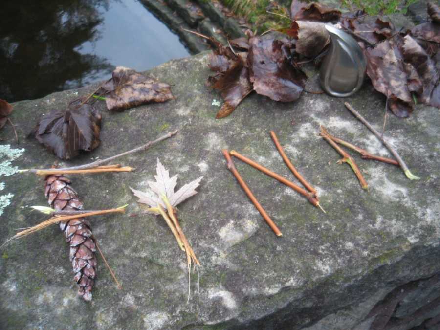 Sticks formed into name "Finn" on stone ledge 