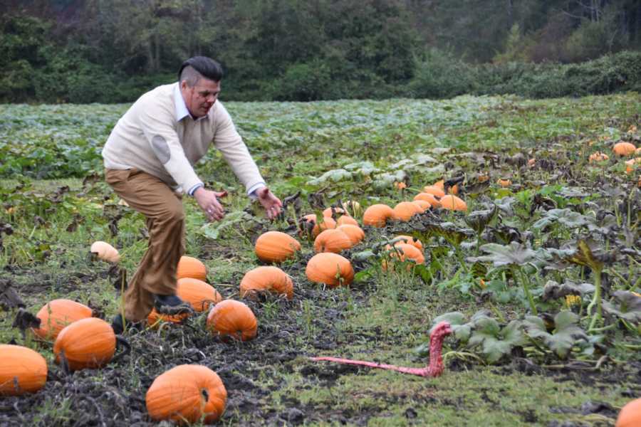 Man chases after bloody creature in pumpkin patch that came out of wife's stomach