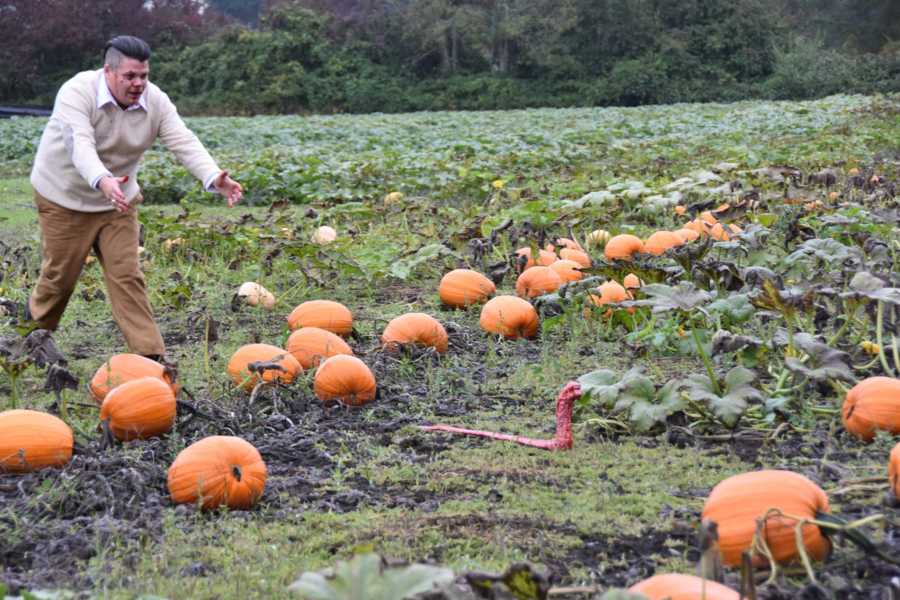 Husband chases away bloody monster that came out of wife's stomach in pumpkin patch