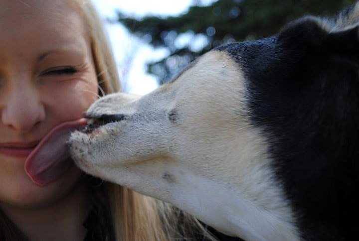 Woman smiles in selfie as her adopted dog licks her face
