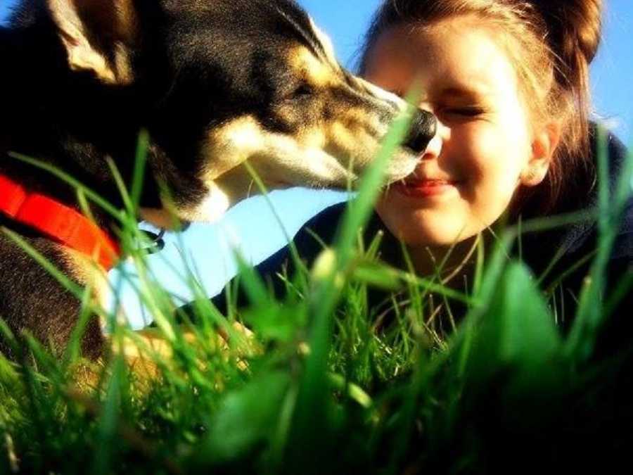 Woman lays on grass while her adopted dog licks her