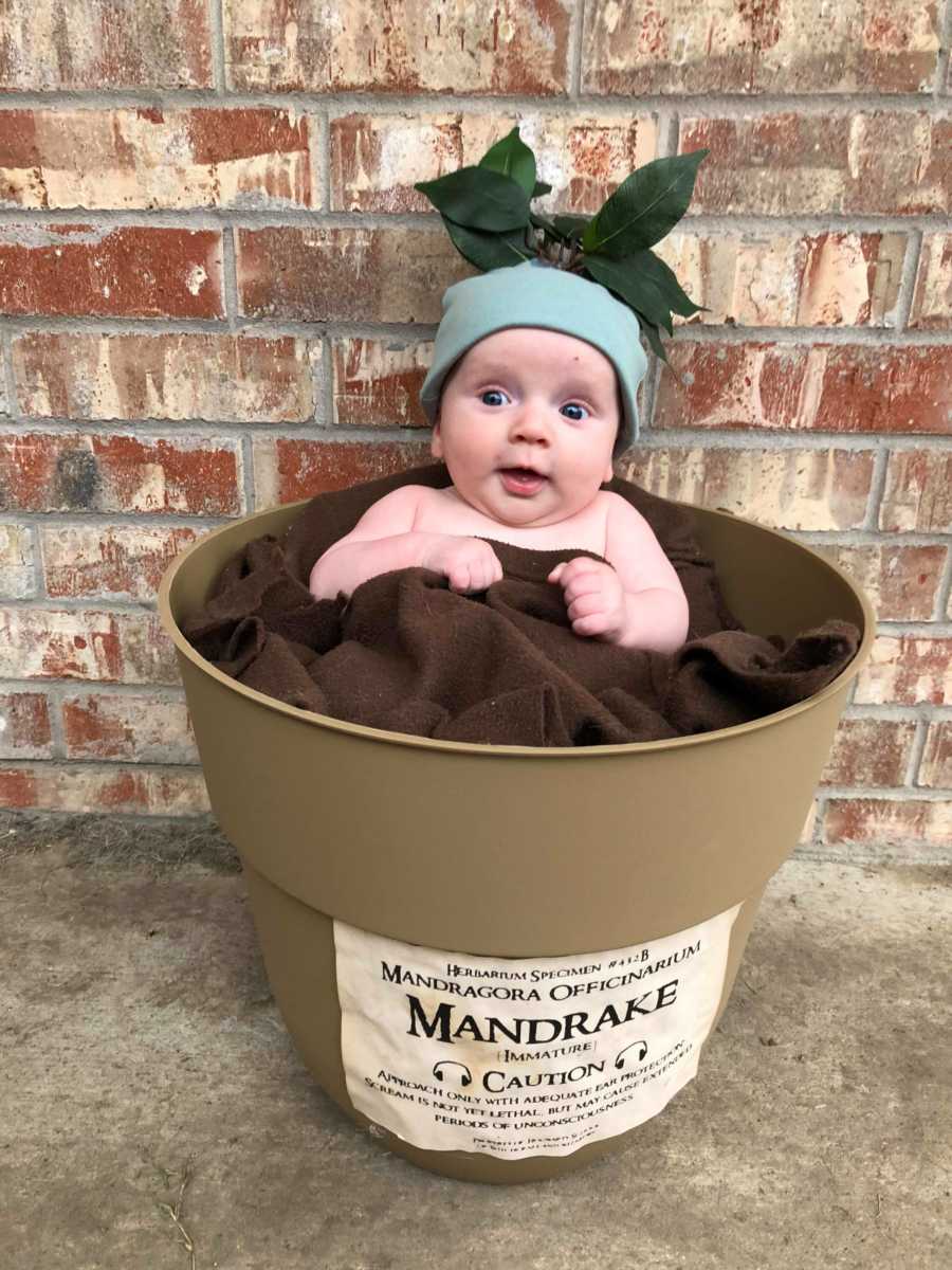 Baby sits in bucket that says, "Mandrake" wearing hat with leaves on it