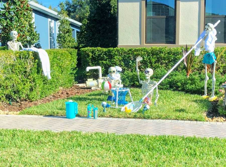 Skeletons have pool party in front yard