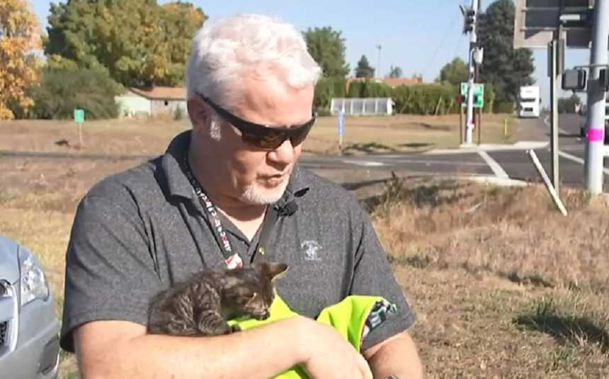 Man holds cat that was glued to the street that he rescued