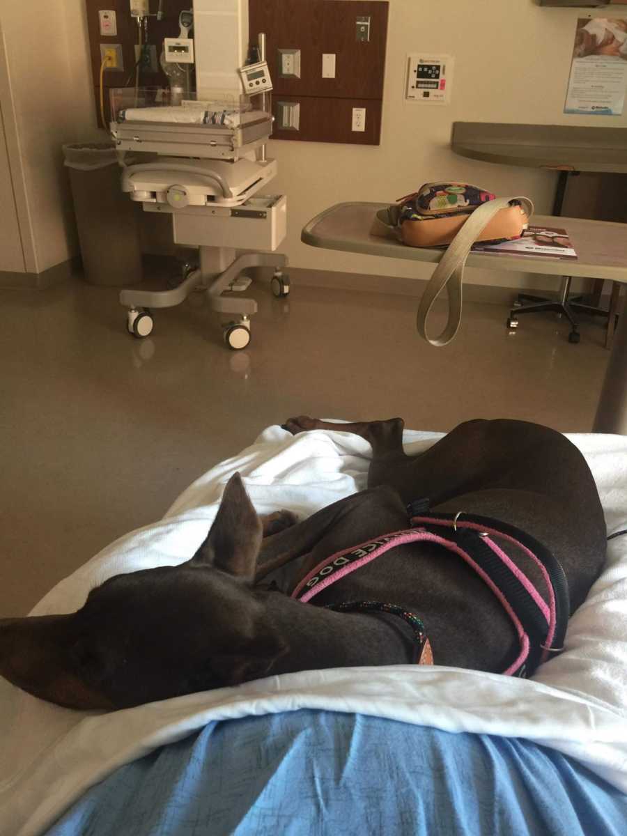 View from woman laying in hospital bed with dog laying beside her