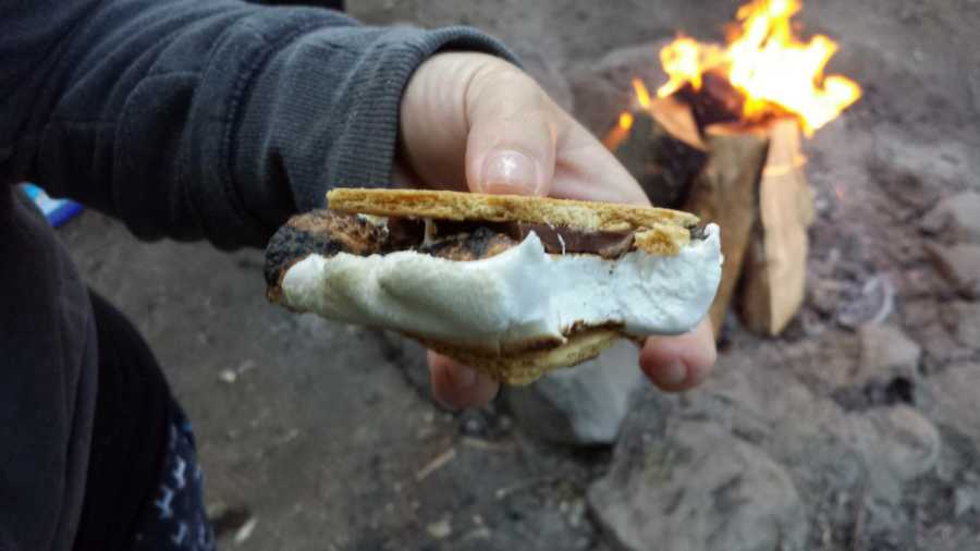 Hand holding S'more beside fire at family's camping trip