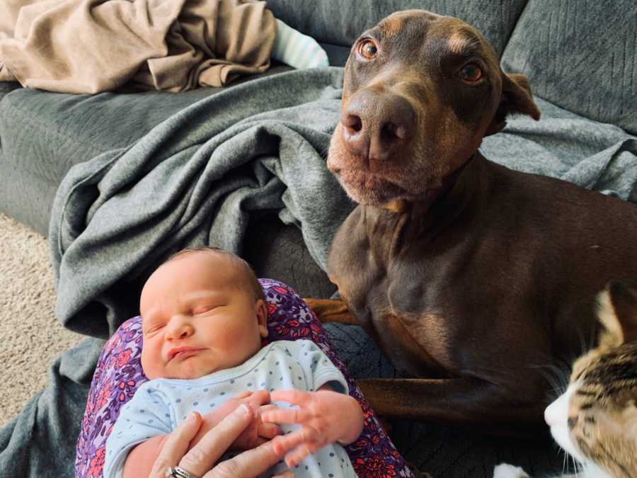Newborn asleep on women's legs while dog sits beside him watching