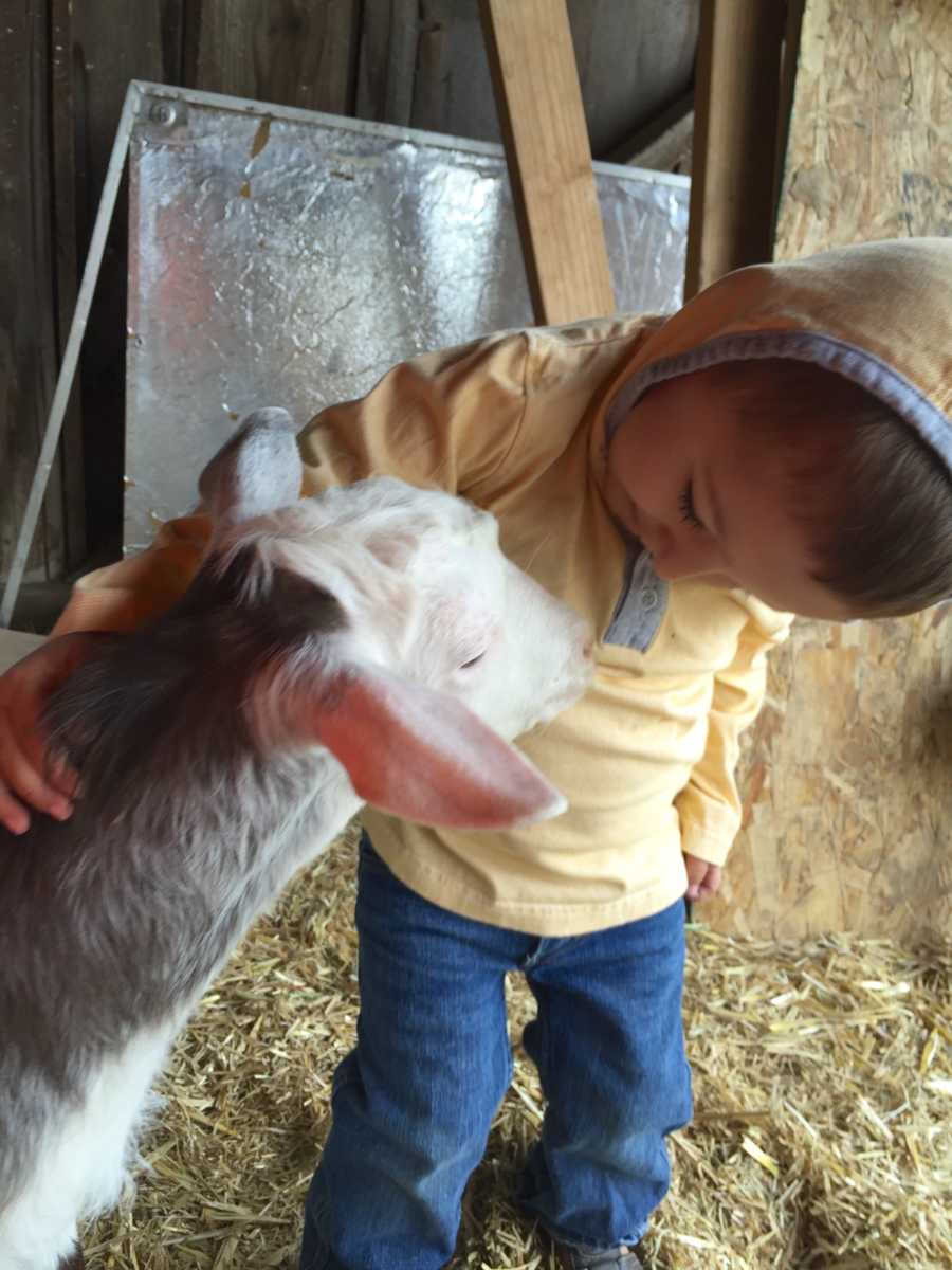 Little boy stands in farm petting baby goat