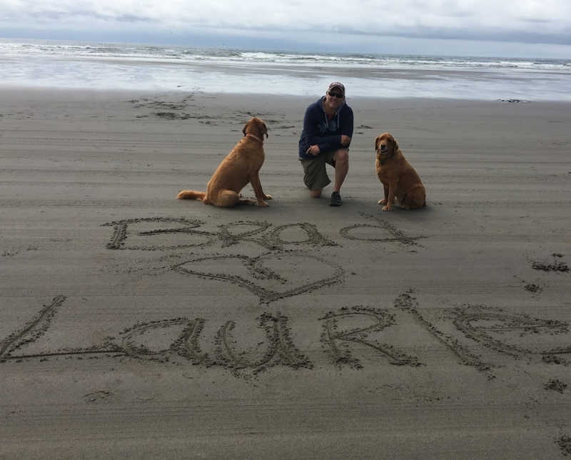 Husband kneels on beach beside two dogs above words written in sand that say, "Brad hearts Laurie"