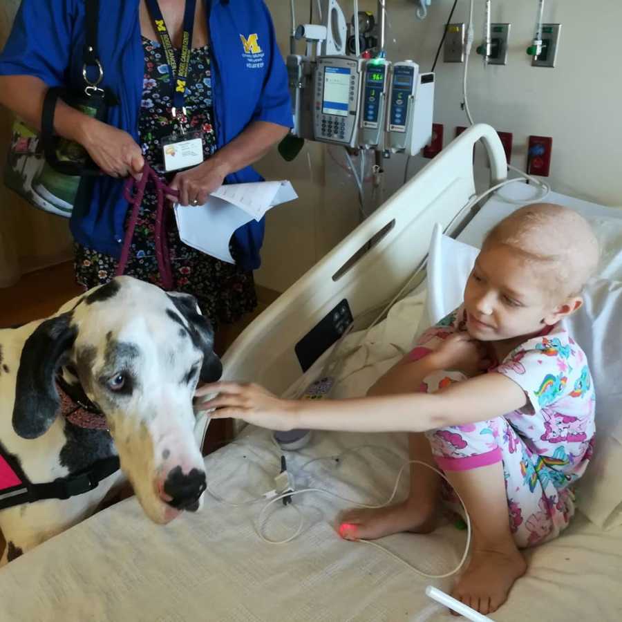 Little girl with brain cancer sits in hospital bed petting dog that stands at side of her bed