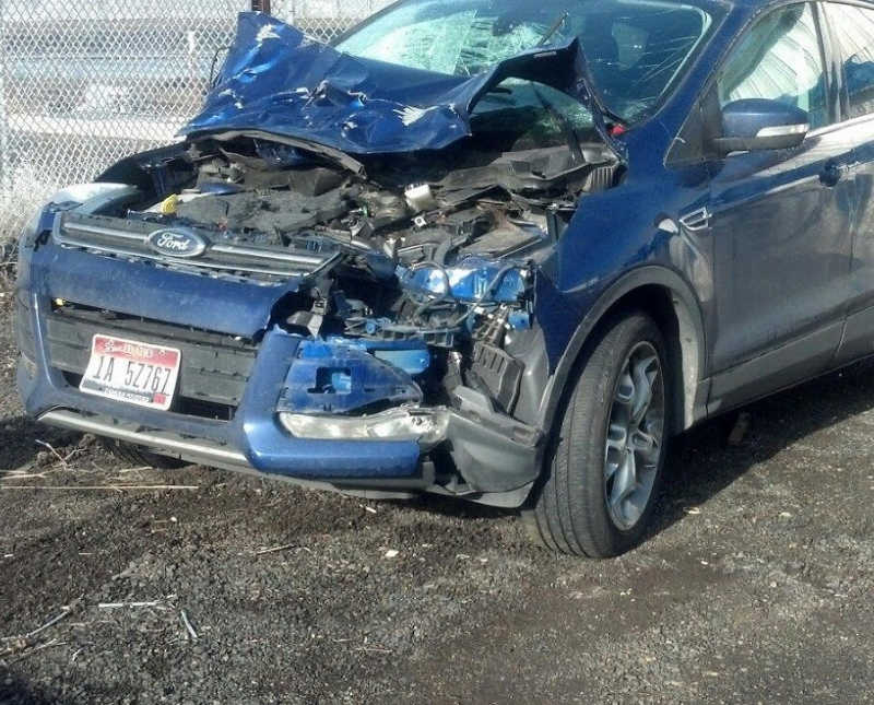 Front of blue Ford Escape that is wrecked from hitting an elk