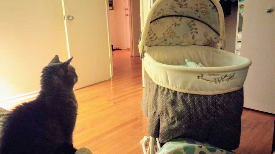 Cat sits on bed looking over at baby asleep in cradle