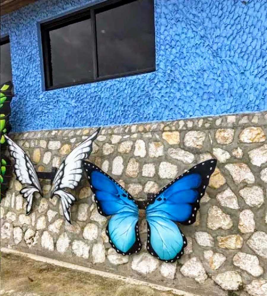 Two butterflies on wall that woman think represents her twin that has passed away and herself