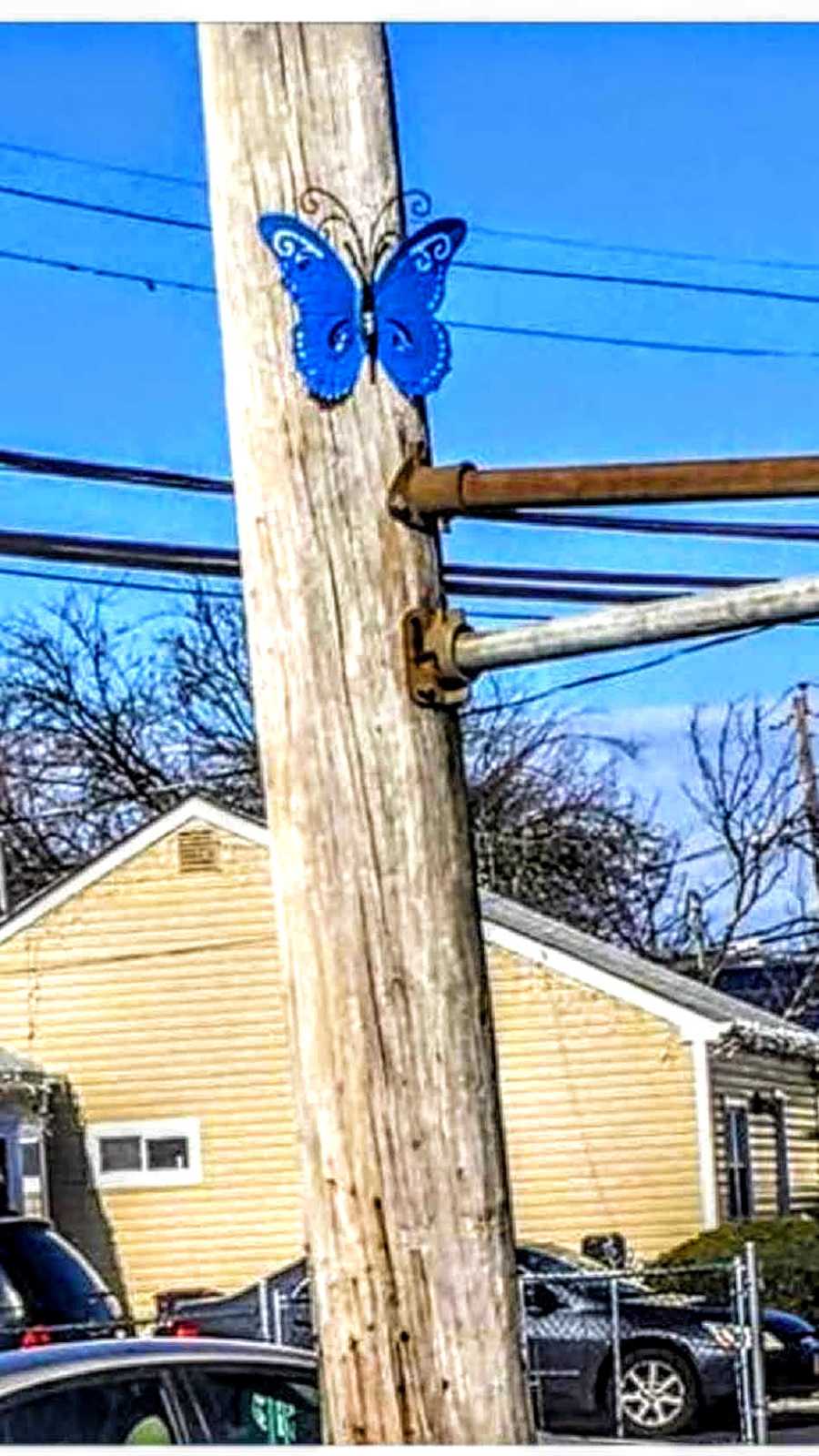 Blue butterfly on telephone pole that reminds woman of her deceased sister