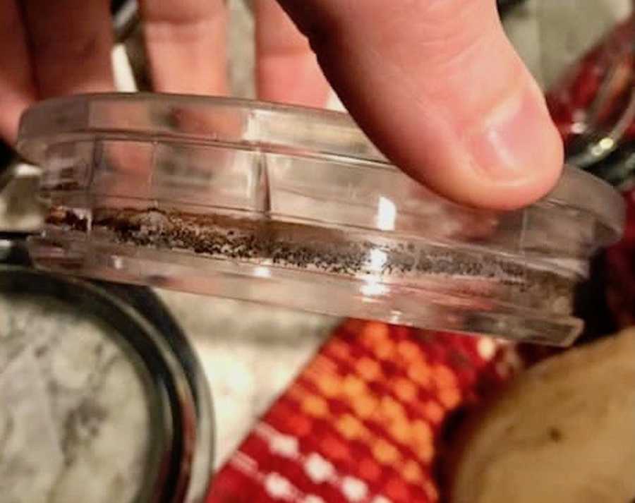 Woman holding reusable plastic lid with mold on it