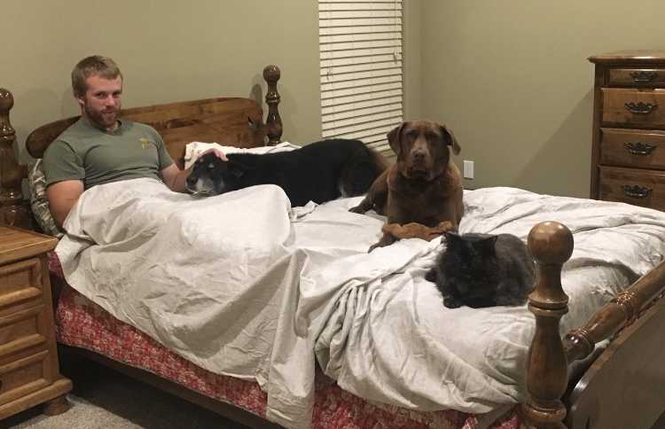 Man sits up in bed with his two dogs and cat on the bed with him