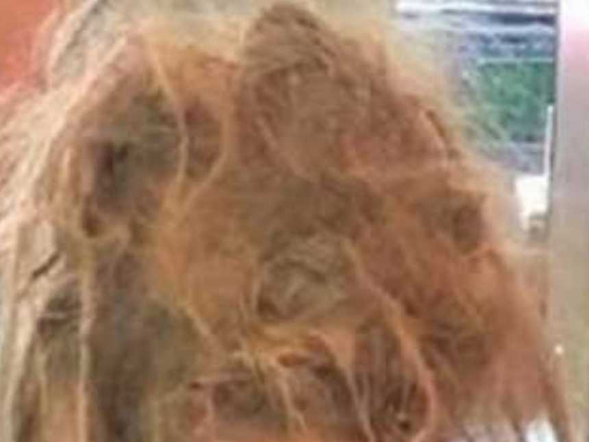 Zoomed in photo of a young girl's wild, matted hair