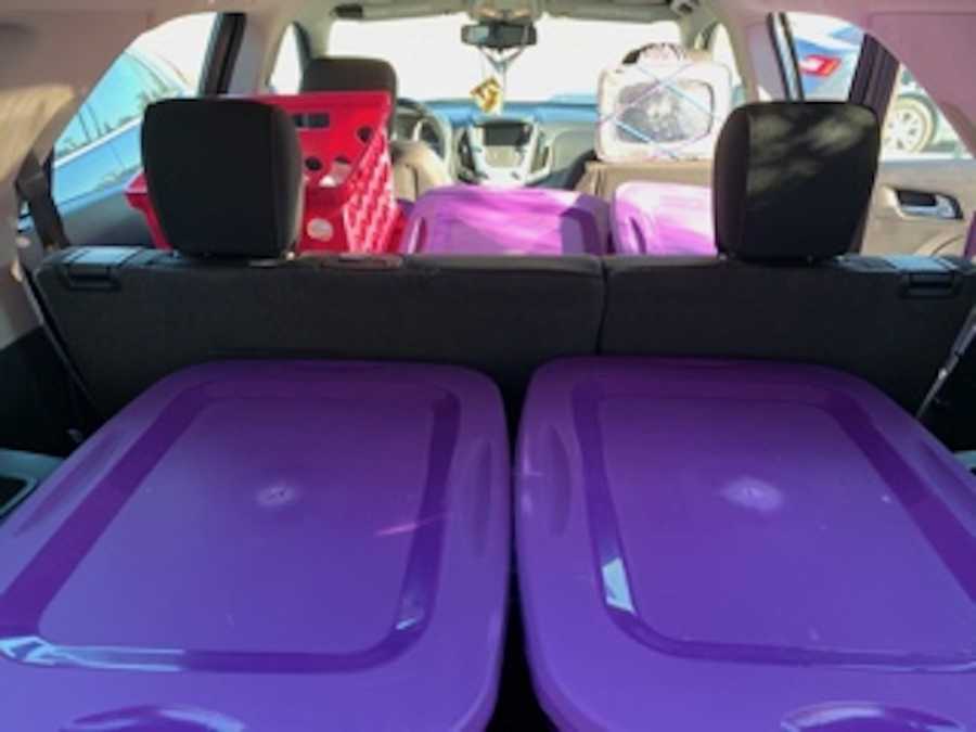 bins in a car