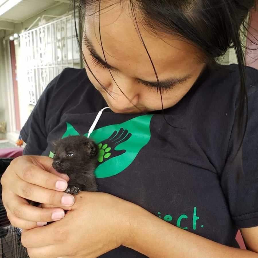 girl holding a baby kitten