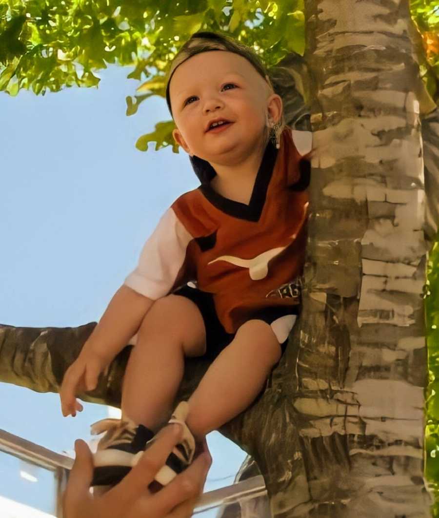 A toddler sits in a tree wearing a backwards cap