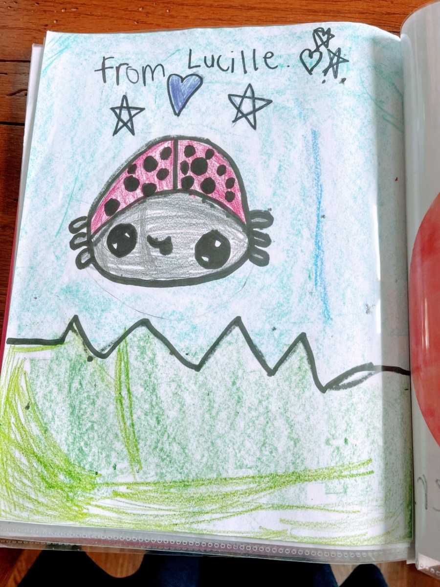 A drawing of a ladybug included in a folder of drawings given to a woman battling cancer