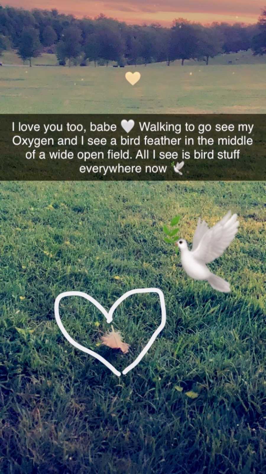 Woman snaps a photo of a bird feather, a wink from heaven from her late boyfriend