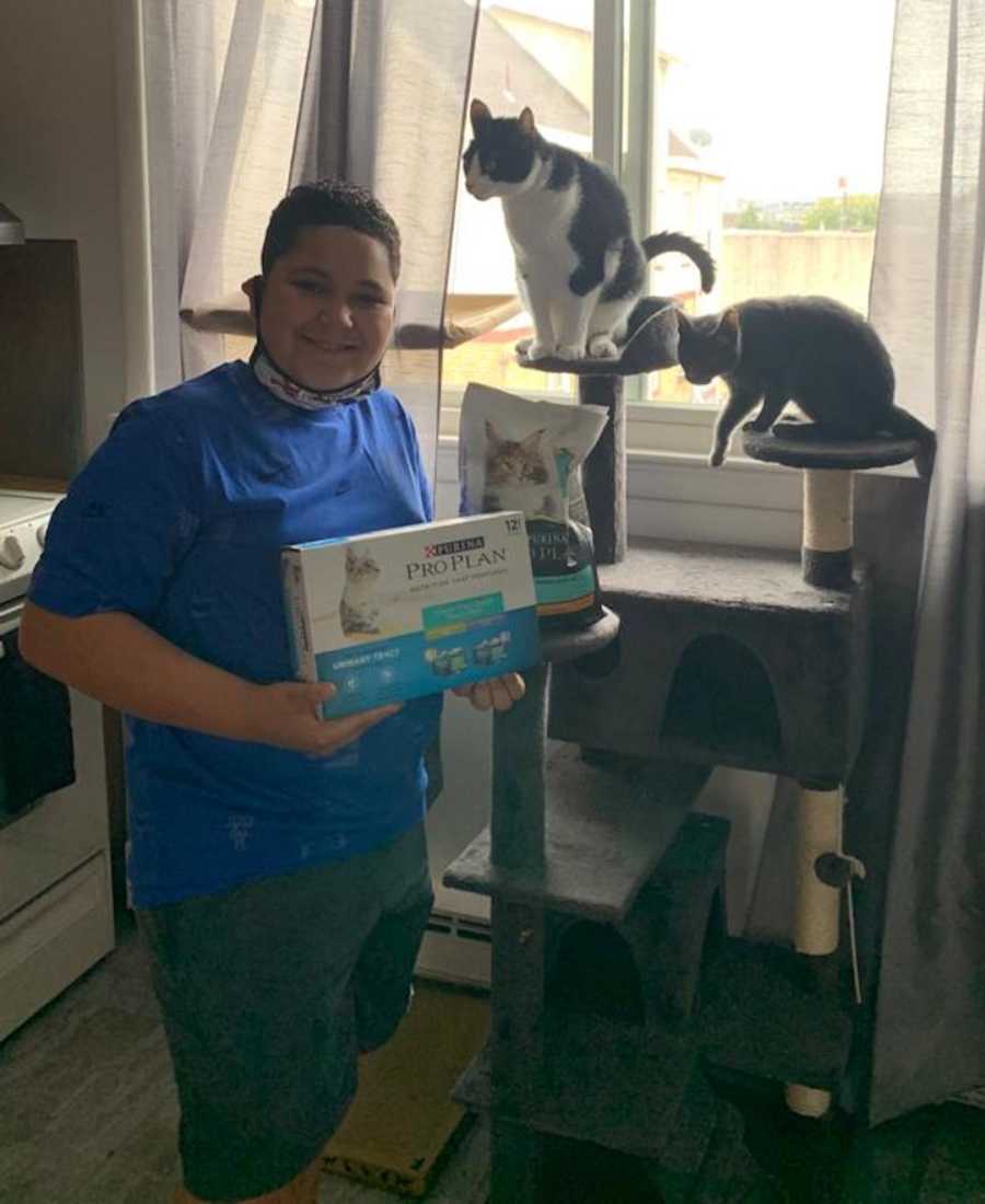 young boy holding cat food with two cats