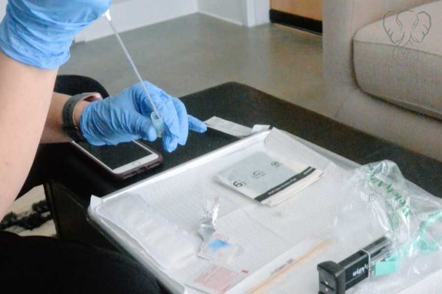 A person wearing gloves prepares a sperm sample for insemination